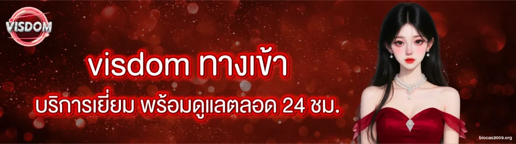 visdom ทางเข้า